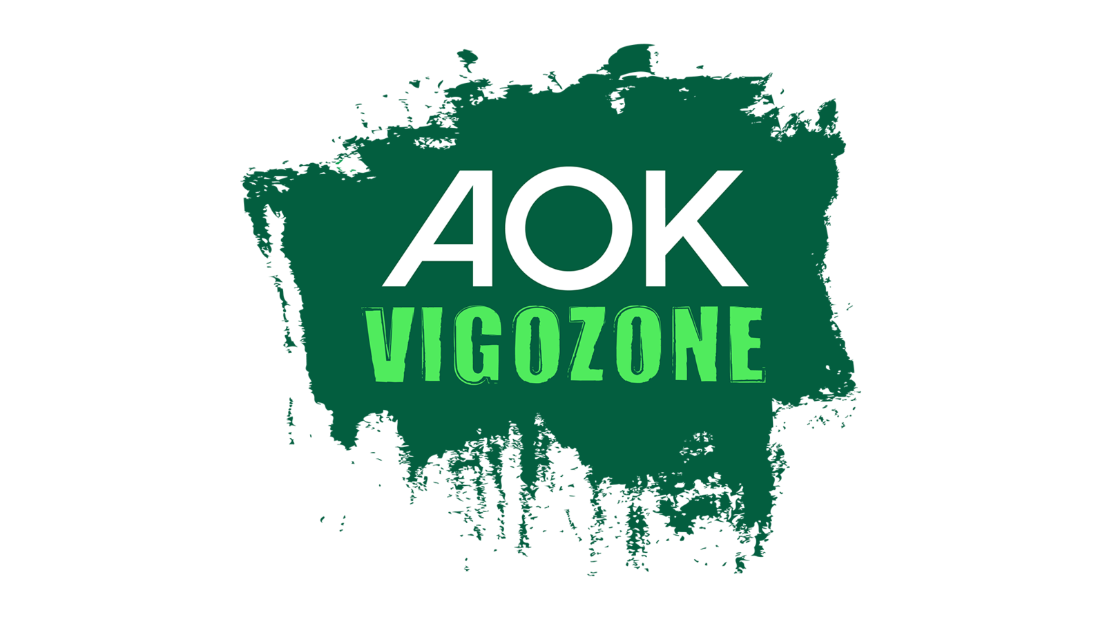 Vigozone