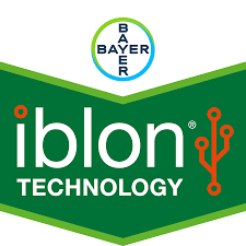 iblon