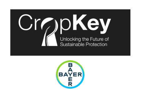 CropKey